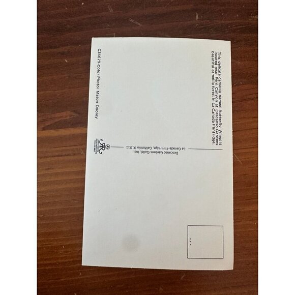 Vintage Butterfly Wings Camellia Postcard – Descanso Gardens, La Cañada Flintrid - Picture 4 of 10